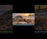 Olive Ridley Turtles Nest on California Beaches for First Time