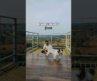 Our top 5 best resorts in Hyderabad for a rejuvenating staycation.