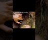 George Was Built Different 😂🌴 | Brendan Fraser Edit #shorts