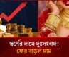তিন দফা কমার পর আবার বাড়ল স্বর্নের দাম | Gold Price | Business News | Jugantor