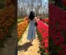 Most beautiful places in Connecticut 🇺🇸🤯 #travel #adventure #explore #nature #connecticut