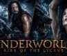 भेड़ियों की सेना का खौफनाक हमला” Hollywood Movie | Underworld: Rise of the Lycans | Fight Scene