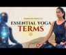 YOGA Anatomy 101: Essential Terms Every YOGI Must Know!