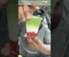 This Is Supposedly The Best Matcha In NYC, Verse In Astoria Queens