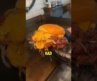Is This the Best Burger in New York City? 🍔🔥