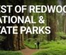 Top Things You NEED To Do In Redwood National Park, California