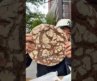 Rating a $60 Loaf of Sour Dough from RYE by Martin Auer in SoHo, NYC (pt 2)
