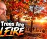 Aussie Reacts To 20 FALL GETAWAYS & 8 SCENIC DRIVES Across 11 States