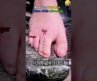 Ranking the best tattoo fails