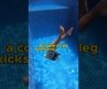 How to swim down to 5m deep
