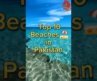 Top 10 Beaches In Pakistan  places to visit Pakistan