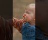 “Baby’s Day Out: Must Watch Movie 🍼✨” #shorts #viralvideo #babyshorts #viralshorts #funny