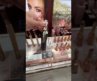 makeup is for 👏everyone👏💝🎀🛍️ #charlottetilbury #affordablemakeup #comeshoppingwithme #dupes