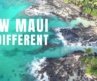 Best Maui Beaches From Above: Where to Swim, Snorkel & Park