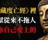 你最想逃的那道光才是出口：度亡經第2天佛光與地獄煙光同時亮起，多數人被業力推著撲向暗的，一彈指就定了去處