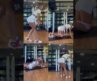 4 Lower Body exercises using only dumbbells and a band. #Shorts #fernandashawfit
