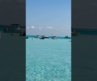 Paradise Revealed📍 🏖️ Destin FL! Crystal-Clear Waters & Amazing Beaches #destinflorida #beachlife