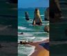 THE BEST BEACHES İN AUSTRALİA || #beach | #travel | #nature