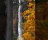 One of the best fall destinations in the USA 👇🥹🍁 If you love adding new places to your bucket