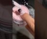 Clases de Uñas Acrílicas y Polygel 💅 #nails #cursodeuñas #nailart #nailspolish #acrylicnails #usa