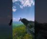 Most beautiful places in North Carolina #nature #travel #explore #adventure #travelvlog #traveling