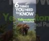 ⚠️ 6 Things you NEED To Know before visiting Yellowstone National Park! 🦬⛰️ #travel #yellowstone