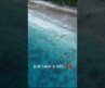 🇹🇱 Just take a left… to Valu Beach  #travel #timorleste #jacoisland #bestbeachesintheworld